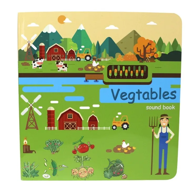 Cheap Interesting Sound Book